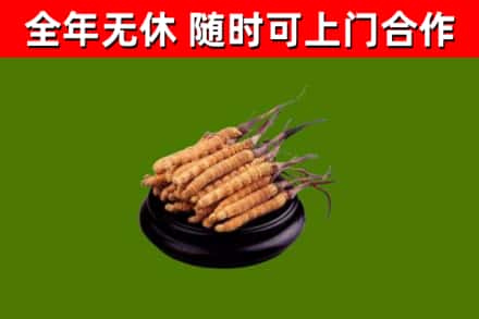 福泉市烟酒回收冬虫夏草.jpg